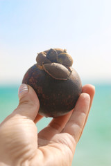 ripe round tropical mangosteen fruit