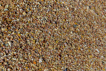 Texture of the wet sand for background