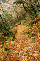 Meteora, Greece - Dec 19, 2019: Hiking path at Meteora,Greece
