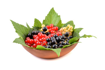 Currant, black, red and white berries of currants in bowl isolated on white background.