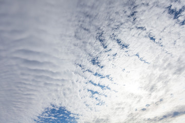 雲海　雲　青空