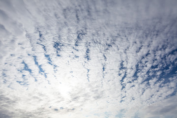 雲海　雲　青空