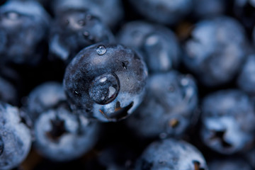 Fresh ripe blueberries with drops of water, closeup