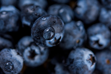Fresh ripe blueberries with drops of water, closeup