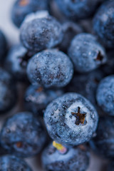 Fresh ripe blueberries with drops of water, closeup