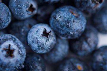 Fresh ripe blueberries with drops of water, closeup
