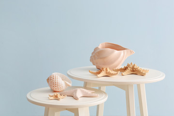 Beautiful sea shells and starfish on table against color wall