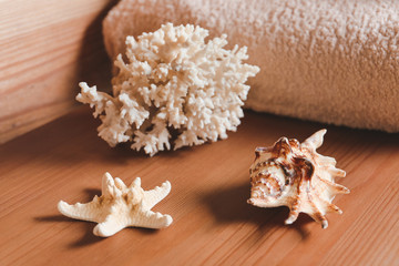 Beautiful sea shells and coral on wooden table