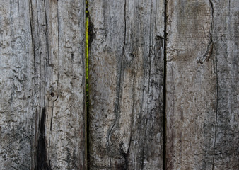 closeup of wooden boards from a fence