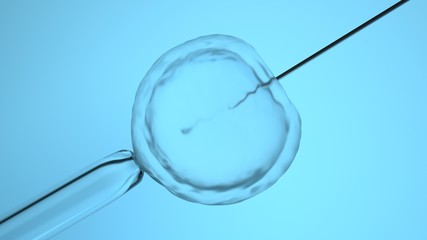 In vitro fertilization or artificial insemination, 3D-rendering