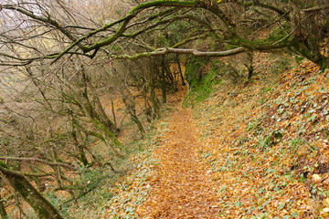 Meteora, Greece - Dec 19, 2019: Hiking path at Meteora,Greece