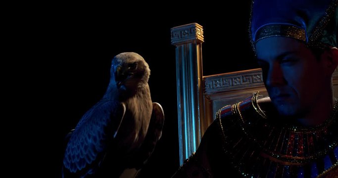 Egyptian pharaoh is sitting on his throne with a wild bird, hawk, close up, 4k