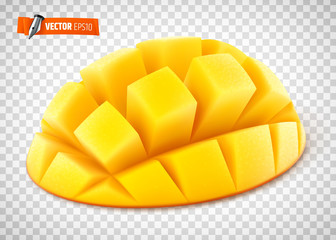 Mangue vectorielle sur fond transparent