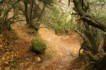 Meteora, Greece - Dec 19, 2019: Hiking path at Meteora,Greece