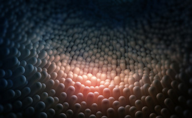 Human intestines, mucous membrane, intestinal villi under a microscope 3D illustration