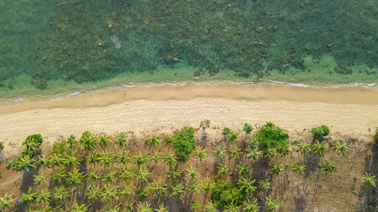 Fototapeta na wymiar Aerial drone view of tropical beach from above, sea, sand and palm trees island beach landscape, Thailand