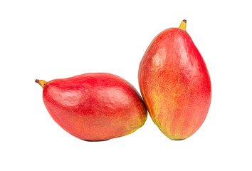 Two mango fruits