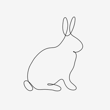 Outline rabbit on the white