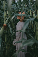 girl with blond hair among tall green ears of corn, covers her face with sheets, looks up - 316956950