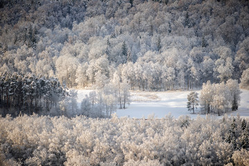 Winter cold morning landscape of nature Krimulda,Latvia
