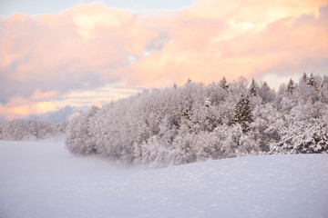 Winter cold morning landscape of nature Krimulda,Latvia