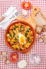 Traditional homemade meal of tomato with egg