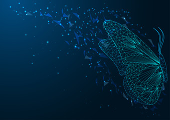 Naklejka premium Futuristic web banner with beautiful glowing low polygonal sitting butterfly