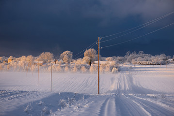 Winter cold morning landscape of nature Krimulda,Latvia