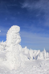 冬の風景　樹氷(宮城県)