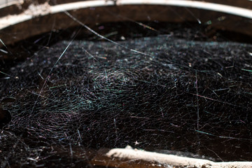 spider web in a abandoned house