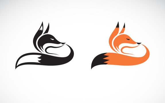 Vector of fox design on white background. Wild Animals. Easy editable layered vector illustration.