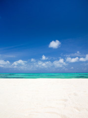 Tropical beach caribbean sea. Sea landscape