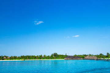 tropical beach in Maldives with few palm trees and blue lagoon