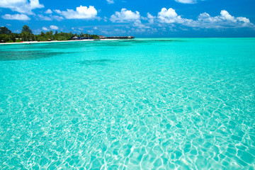 tropical beach in Maldives with few palm trees and blue lagoon
