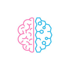 Brain. The two halves of the whole brain of pink and blue. Man and woman thinking concept. Stock vector illustration isolated on white background.