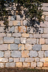 Rural stone wall texture with tree leaves