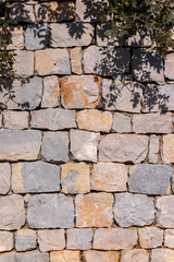 Rural stone wall texture with tree leaves