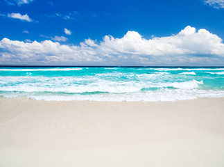 Tropical beach caribbean sea. Sea landscape