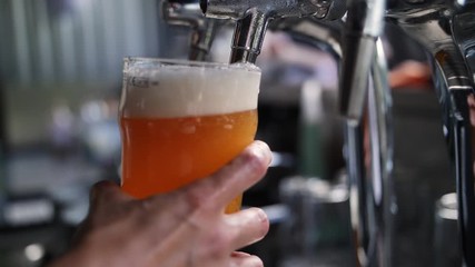Bartender pouring a pint of golden beer at a garden party in super slow motion