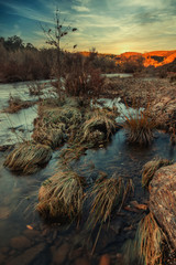 Healthy countryside river