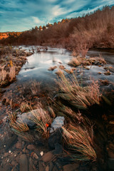 Healthy countryside river
