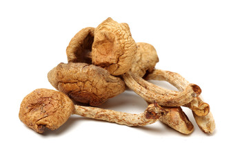 dried mushroom on white background