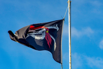 pirates flag