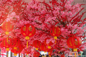 Interior decoration for Chinese New Year Celebration