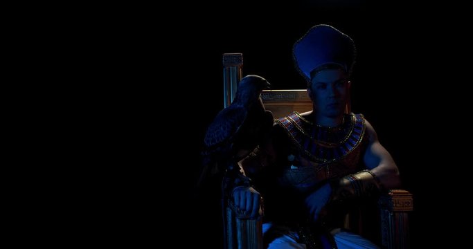 Egyptian pharaoh is lifting his arm and sending a hawk, flying away, 4k