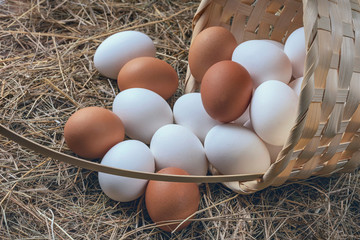 a lot of fresh chicken eggs in a straw basket on a background of hay. Healthy eating concept