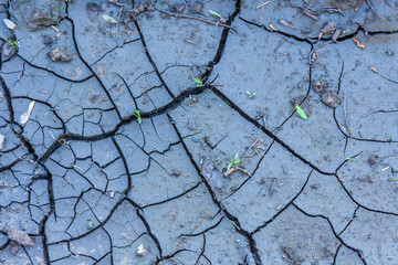 Background of the cracked dry ground. Global warming