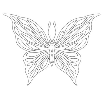 butterfly coloring page black contour illustration
