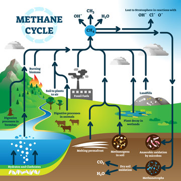 Methane Cycle Diagram, Global Pollution Process Vector Illustration Scheme