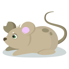 Cute mouse with a torn ear; vector illustration.
